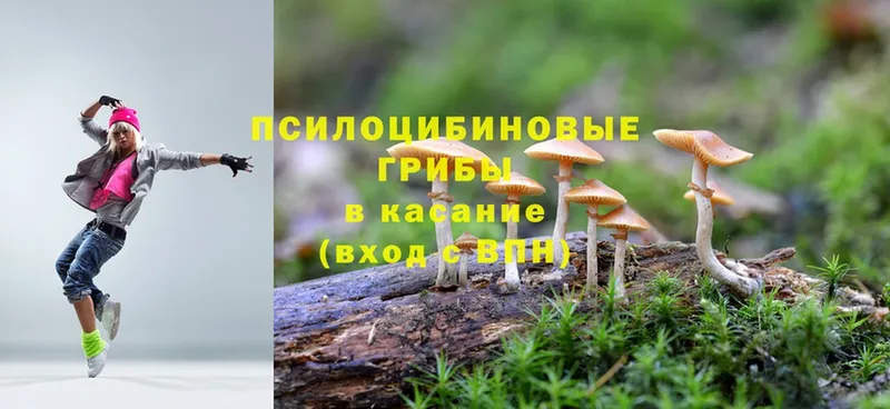 Галлюциногенные грибы Magic Shrooms  наркотики  Кущёвская 